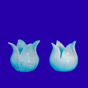 TULIPÁN VELERO