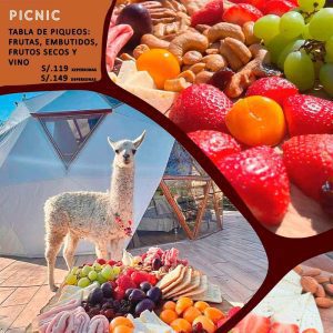 DOMELISCO - PICNIC