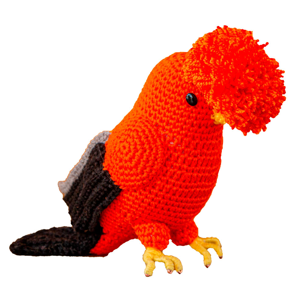 GALLITO DE LAS ROCAS - Imagen 4