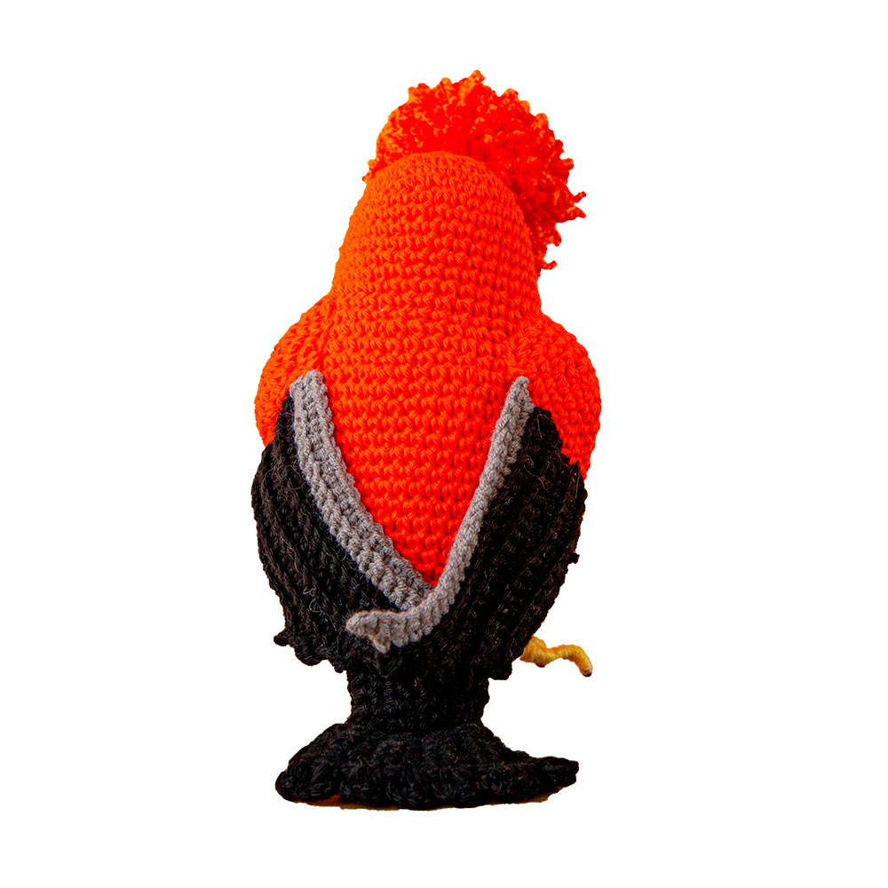 GALLITO DE LAS ROCAS - Imagen 3