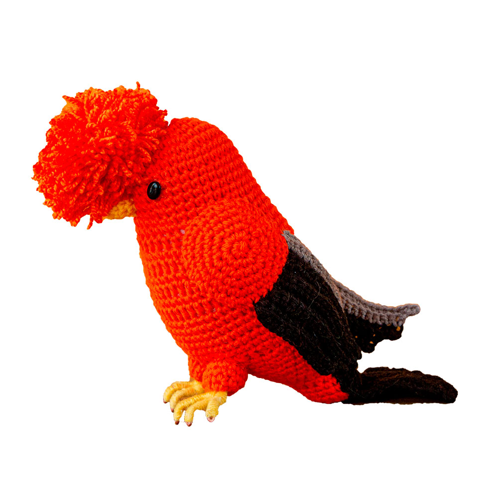 GALLITO DE LAS ROCAS - Imagen 2