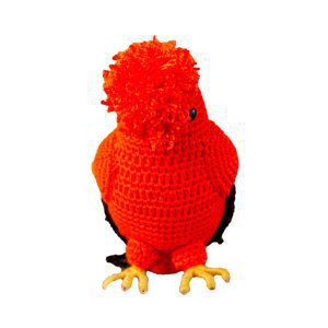 GALLITO DE LAS ROCAS