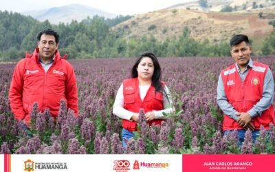 TALLER «DIAGNÓSTICO DEL ACCESO AL SEGURO AGRARIO CATASTRÓFICO PARA LA AGRICULTURA FAMILIAR»»