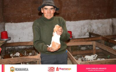 MUNICIPALIDAD DE HUAMANGA IMPULSA LA SOSTENIBILIDAD EN LA PRODUCCIÓN DE CUYES JUNTO AL INIA