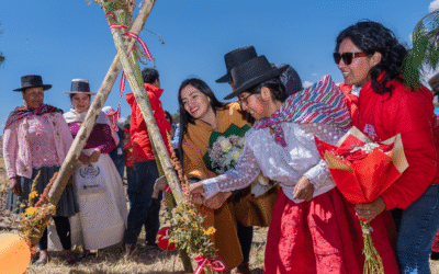 GESTIÓN DE CHARANGUITO IMPULSA LA ECONOMÍA E INICIA CONSTRUCCIÓN DE INVERNADERO PARA PRODUCCIÓN DE TOMATES
